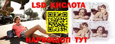 стафф Норильск