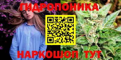 трава Новоалександровск