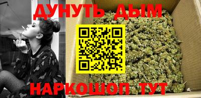индика Нижний Тагил