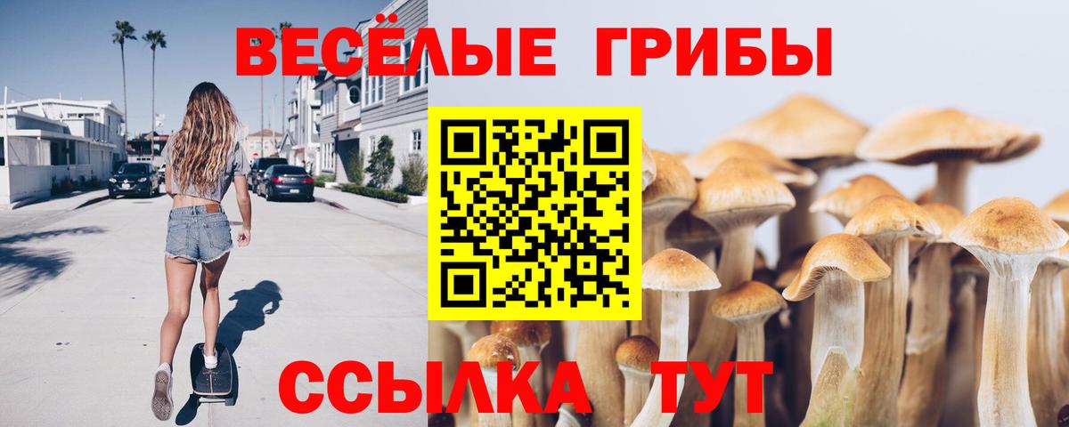 Галлюциногенные грибы мицелий  Галлюциногенные грибы Magic Shrooms  Вход с VPN  магазин продажи   Кизляр 