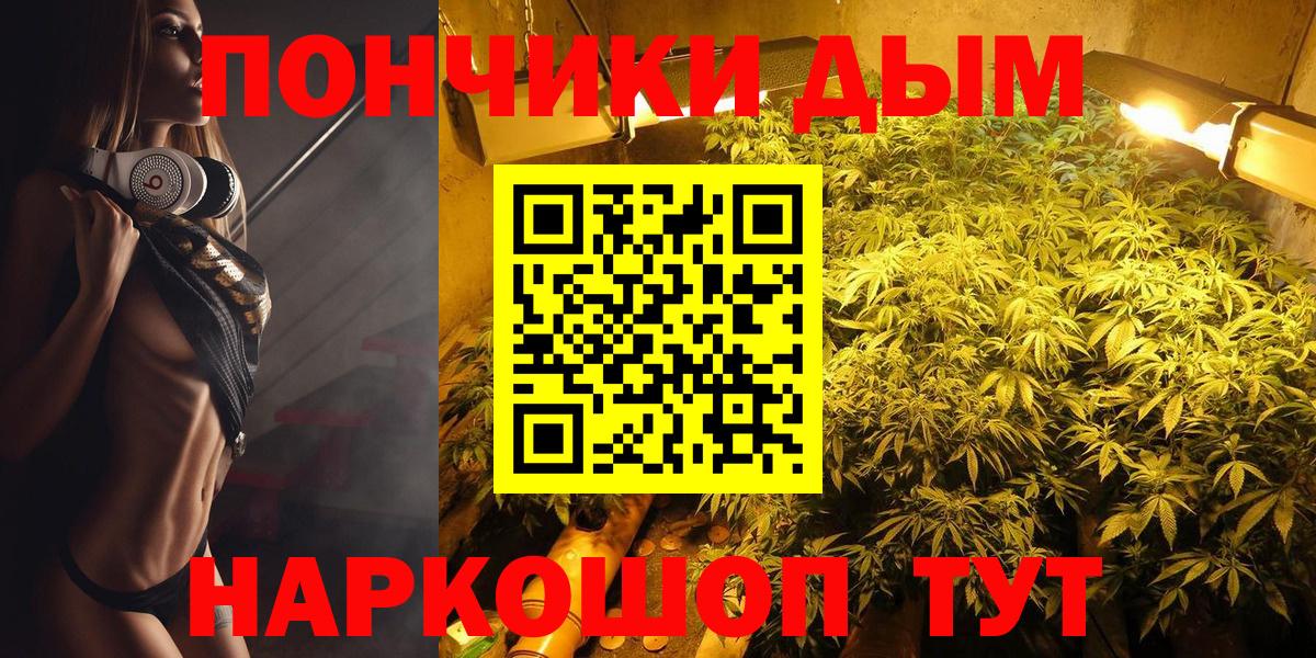 Каннабис планчик Кизляр